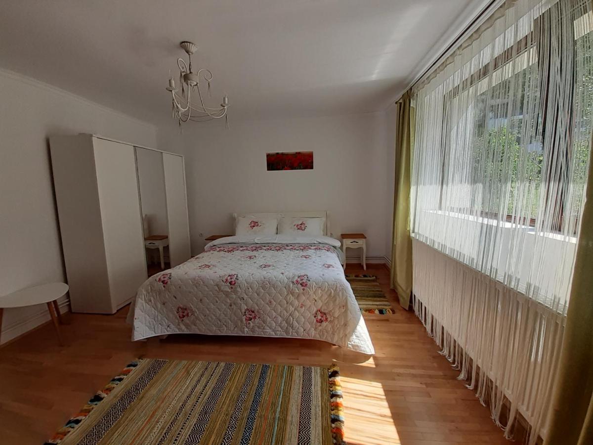 브라쇼브 R-House 아파트 외부 사진