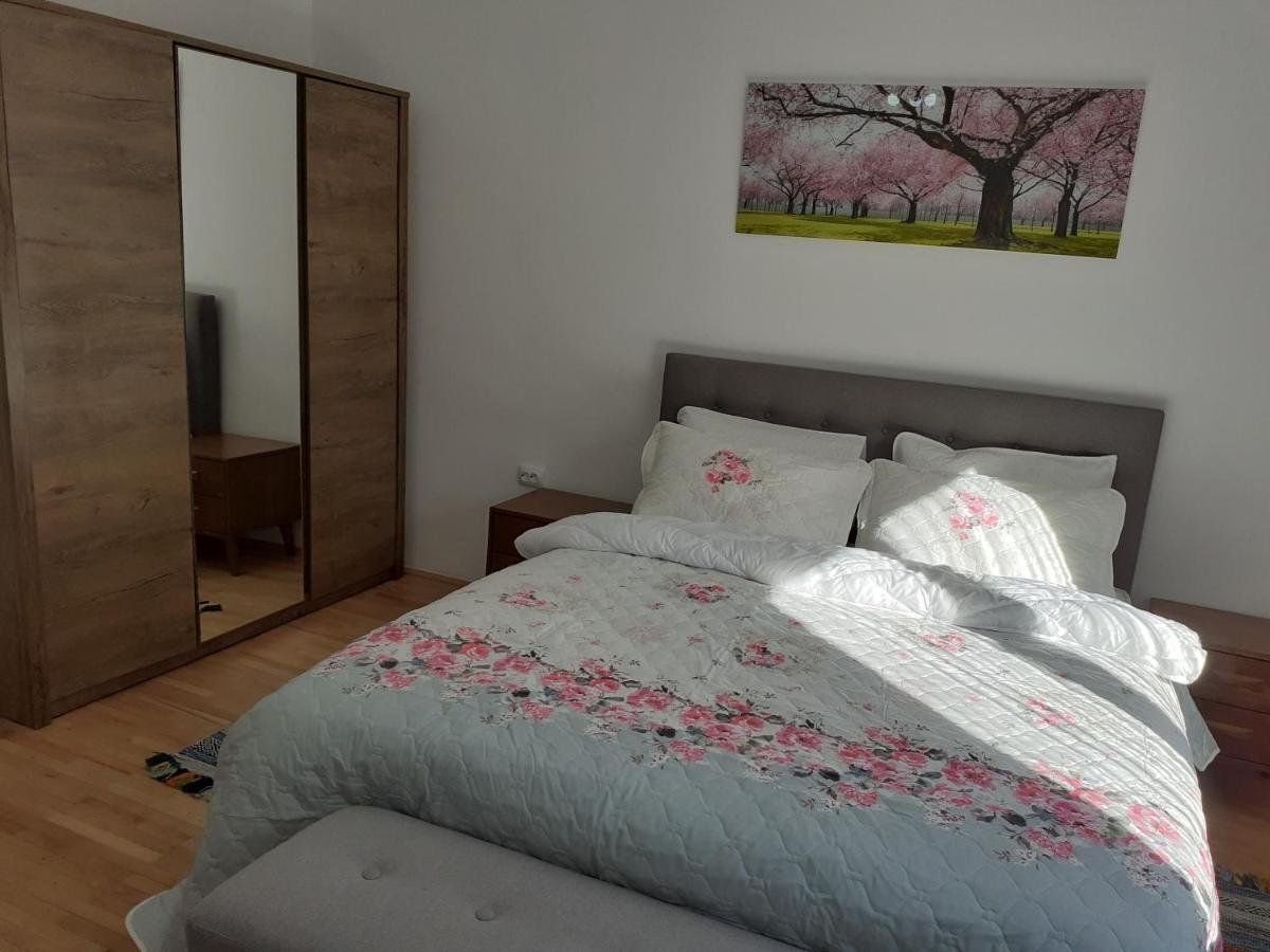 브라쇼브 R-House 아파트 외부 사진